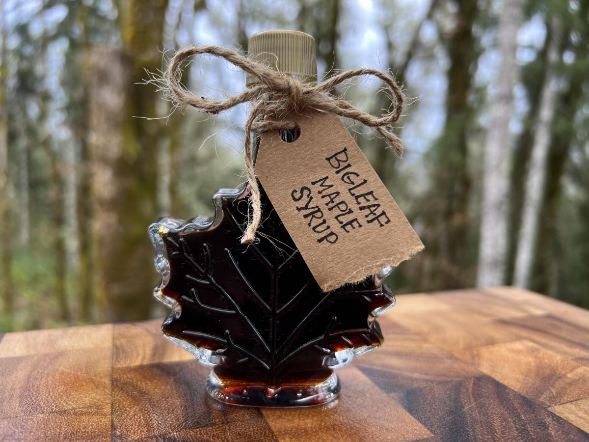 Image of bottled bigleaf maple syrup in a glass jar in the shape of a maple leaf