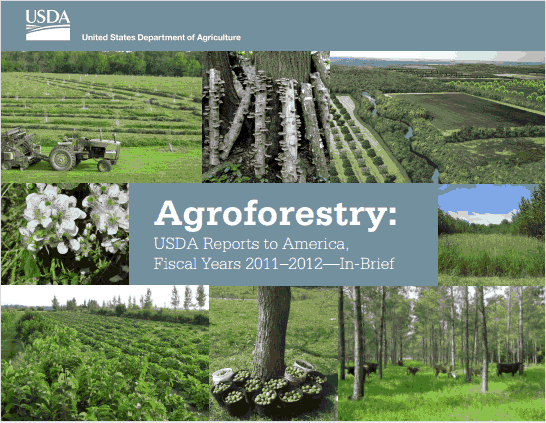 link to PDF on USDA website